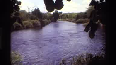 Kilaguni Kenya (1983): The Alligator In The Lake This Swimming Freely