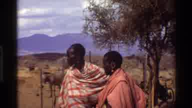 Kilaguni Kenya (1983): Black Men With Earrings On A Warm Day