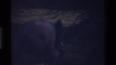 Mara Tanzania (1983): Elephant And Her Calf Roaming The Wild