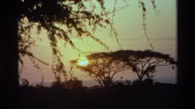 Mara Tanzania (1983): A View Of An Isolated Forest