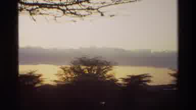 Mara Tanzania (1983): Very Beautiful Sunset Amid The Trees With Clouds In The Sky