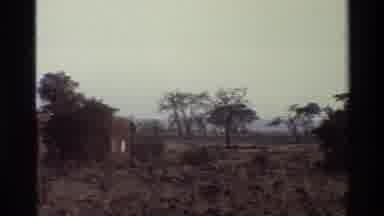 Mara Tanzania (1983): Camera Panning A Savannah