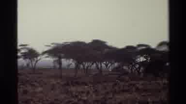 Mara Tanzania (1983): A White Man And Black Woman In Africa In The Wildness