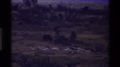 Mara Tanzania (1983): Hungry Monkey Scanning The Barren Desolate Terrain For
