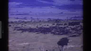 Mara Tanzania (1983): An Open Plane With Plenty Of Animals In The Savannah