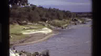 Mara Tanzania (1983): A Crocodile In The Margin Of A River Not Moving