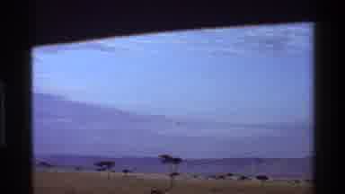Mara Tanzania (1983): Hyena And Deer On The African Plains Other Animals Are