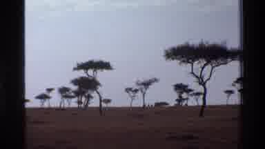 Mara Tanzania (1983): Trees In A Sahara With Mountains In The Distance