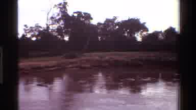 Mara Tanzania (1983): A Swamp With Crocodiles And Trees Around