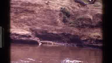 Mara Tanzania (1983): Nature Views From River To The Sky