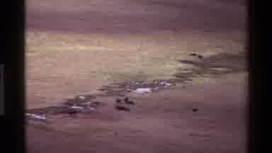 Mara Tanzania (1983): The View Is Sunny And The Land Is Shown Bright