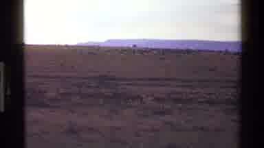 Mara Tanzania (1983): Deers In A Group In A Park