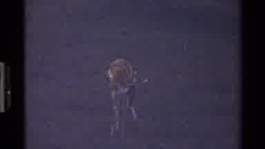 Mara Tanzania (1983): Young Deer Roaming Alone In A Grassy Area With The Sun