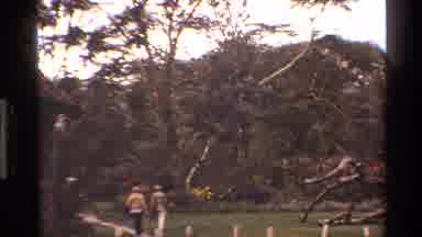 Mara Tanzania (1983): Wow What A Beautiful Long Low Sitting Trees That Stretch