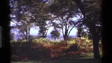 Mara Tanzania (1983): Man In The Jungle
