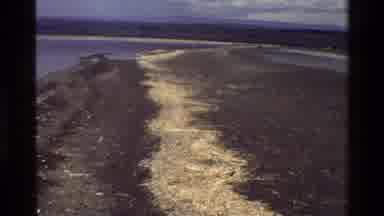 Mara Tanzania (1983): Dried Seaweed Covered Beach And Seagulls Flying Over The