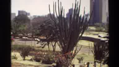 Nairobi Kenya (1983): Nature In The City