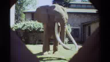 Nairobi Kenya (1983): Man And Child Monument Along With An Elephant Monument On A