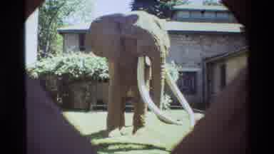 Nairobi Kenya (1983): Elephant Standing Still Near A House With Long White Tusks