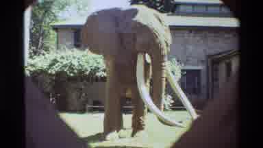Nairobi Kenya (1983): Elephant And In The Next Scene Civilization And Someone Is