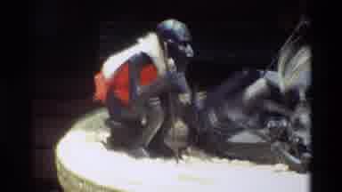 Nairobi Kenya (1983): Sitting Statue Of Animal Is Viewed Under A Tree