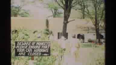 Nairobi Kenya (1983): Carefully Walking Through A Wildlife Refuge Where Birds And