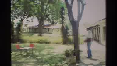 Nairobi Kenya (1983): Man Observes Three Peacocks Walking Towards A Table