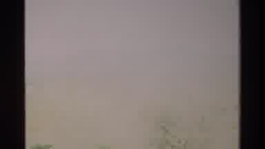 Nairobi Kenya (1983): A Serene Nature Scene With A Nest Hanging Over A Muddy Pond