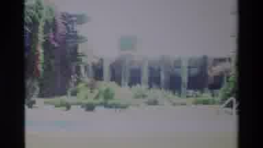Nairobi Kenya (1983): A View Of Nature At Its Best