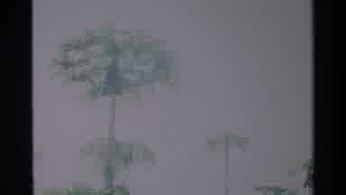 Nairobi Kenya (1983): Guests Proceeding Place Near To A Tree Look Like Very