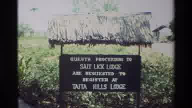 Nairobi Kenya (1983): Eerie Old Time Footage Taken Of A Sign And A Tree
