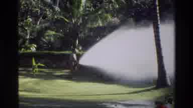 Singapore (1984): The Gardener Dumps Water In The Garden Along The Coast