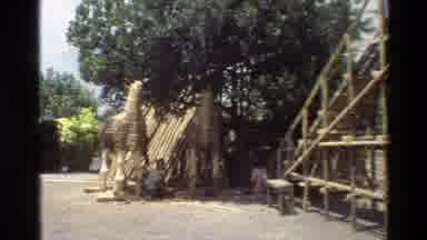 Singapore (1984): Wooden Horse Frame Being Constructed In Small Outdoor