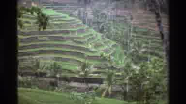 Singapore (1984): Lush Green Rice Paddies In The Mountains