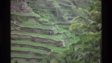 Singapore (1984): The Hilly Mountainside That Is Lush And Green And Large