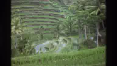 Singapore (1984): Green Terraced Landscape Pans Over Large Mountain Landscape