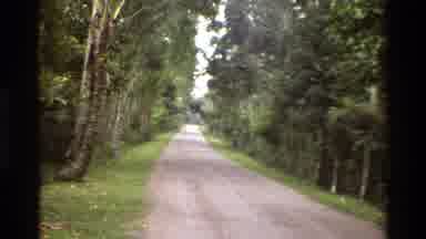 Singapore (1984): Zooming Down A Country Lane With Overlooking Trees