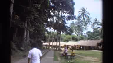 Singapore (1984): Man Walking Near Picnic Tables In Tropical Area With Monkeys On