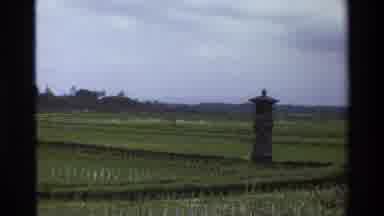 Singapore (1984): An Open Field On A Windy Day