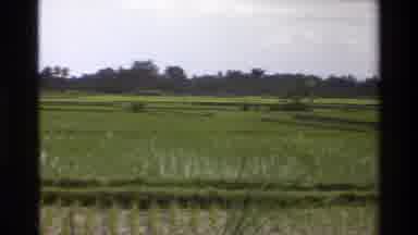 Singapore (1984): Panning Of A Field Of Crops Before Showing A Gazebo And Zooming