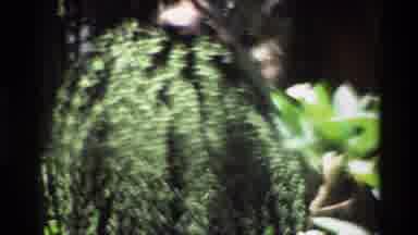 Singapore (1984): Close Up Of Green Floral Sweater Followed By A Market Street
