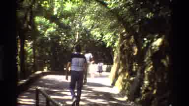 Hong Kong (1984): Beautiful Place Of Recreation In The Midst Of Nature And