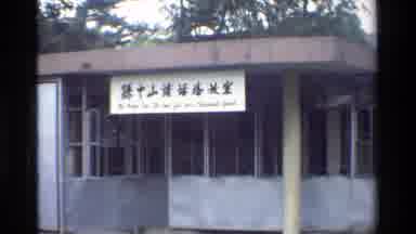 Hong Kong (1984): Lily Pads In Front Of White Building On A Clear Day