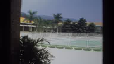 Hong Kong (1984): White Hibiscus Flower Poolside At A Resort In Warm Climate