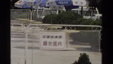 Hong Kong (1984): Park With Many Cars Outside Plant With Red Flower Fence With