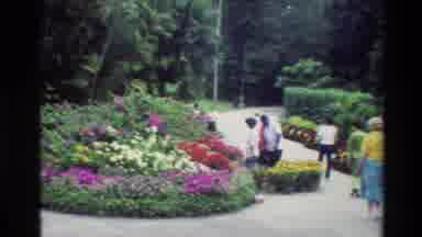 Thailand (1984): People Walking By Tall Pink Flowers At Outdoor Garden On A Bright