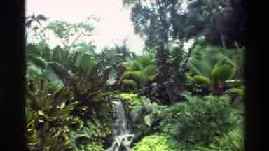 Thailand (1984): Waterfall With Nature Ferns With Closeups Flowers
