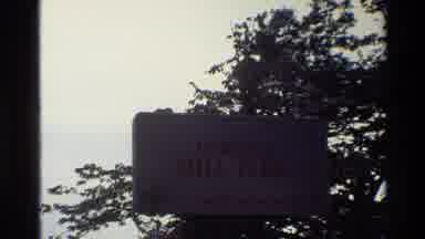 Thailand (1984): Overlooking The City In Hawaii With A Palm Tree Hanging Off A