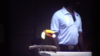 Thailand (1984): Parrot Completing A Puzzle