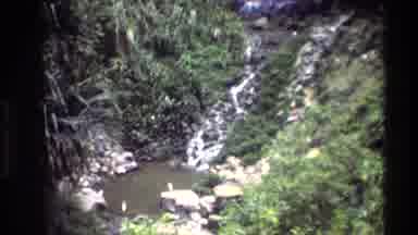 Thailand (1984): Birds Gathered At A Pool At The Base Of A Forested Waterfall